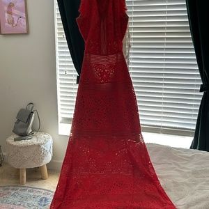 Gorgeous BCBG Max Azria formal wear